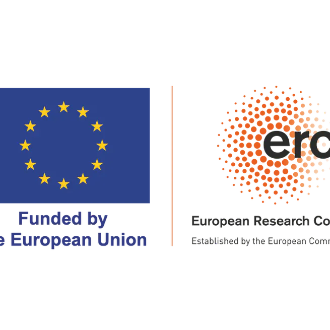 ERC Starting Grant project CoChina