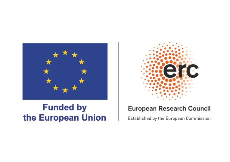 ERC Starting Grant project CoChina